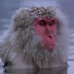 Aphex Twin Monkey — GIF PFPs