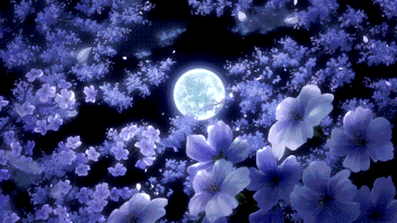 Beautiful Night — Aesthetic Banners