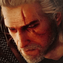 Gerald The Witcher — GIF PFPs