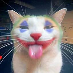 Joker Cat — Funny PFPs