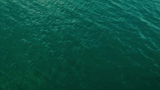 Ocean — Discord Banner GIFs