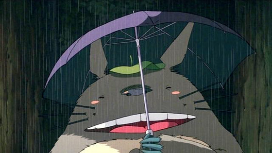 Totoro — Anime Banners