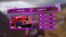 Load and play video in Gallery viewer, Neon Cats — Stream Header, Label and Webcam Overlay Pack for OBS