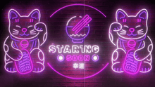 Load and play video in Gallery viewer, Neon Cats - Twitch Overlay and Alerts Package for OBS Studio