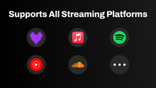 Load and play video in Gallery viewer, Vinyl Record Music Display Widget for Twitch & Youtube | All Music Platforms Supported