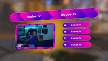 Load and play video in Gallery viewer, Loop — Stream Header, Label and Webcam Overlay Pack for OBS