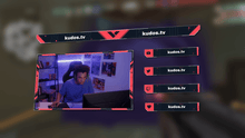 Load and play video in Gallery viewer, Valorant Esports - Stream Header, Label, Webcam Overlay Pack for OBS