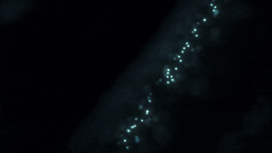 Abstract Particles — Discord Banner GIFs