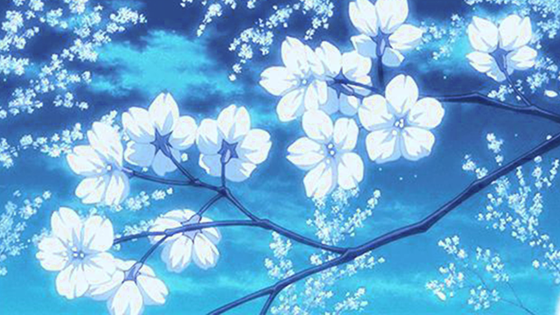 Blossom — Aesthetic Banners