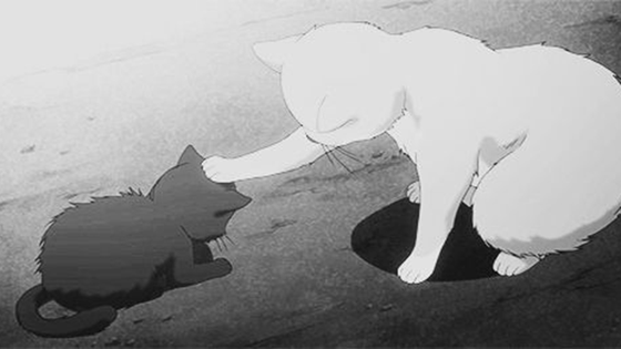 Cats — Aesthetic Banners