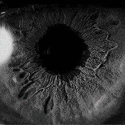 Eye — Aesthetic PFPs