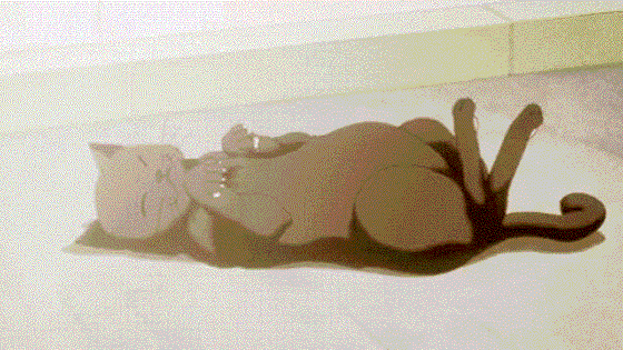 Kitty — Aesthetic Banners