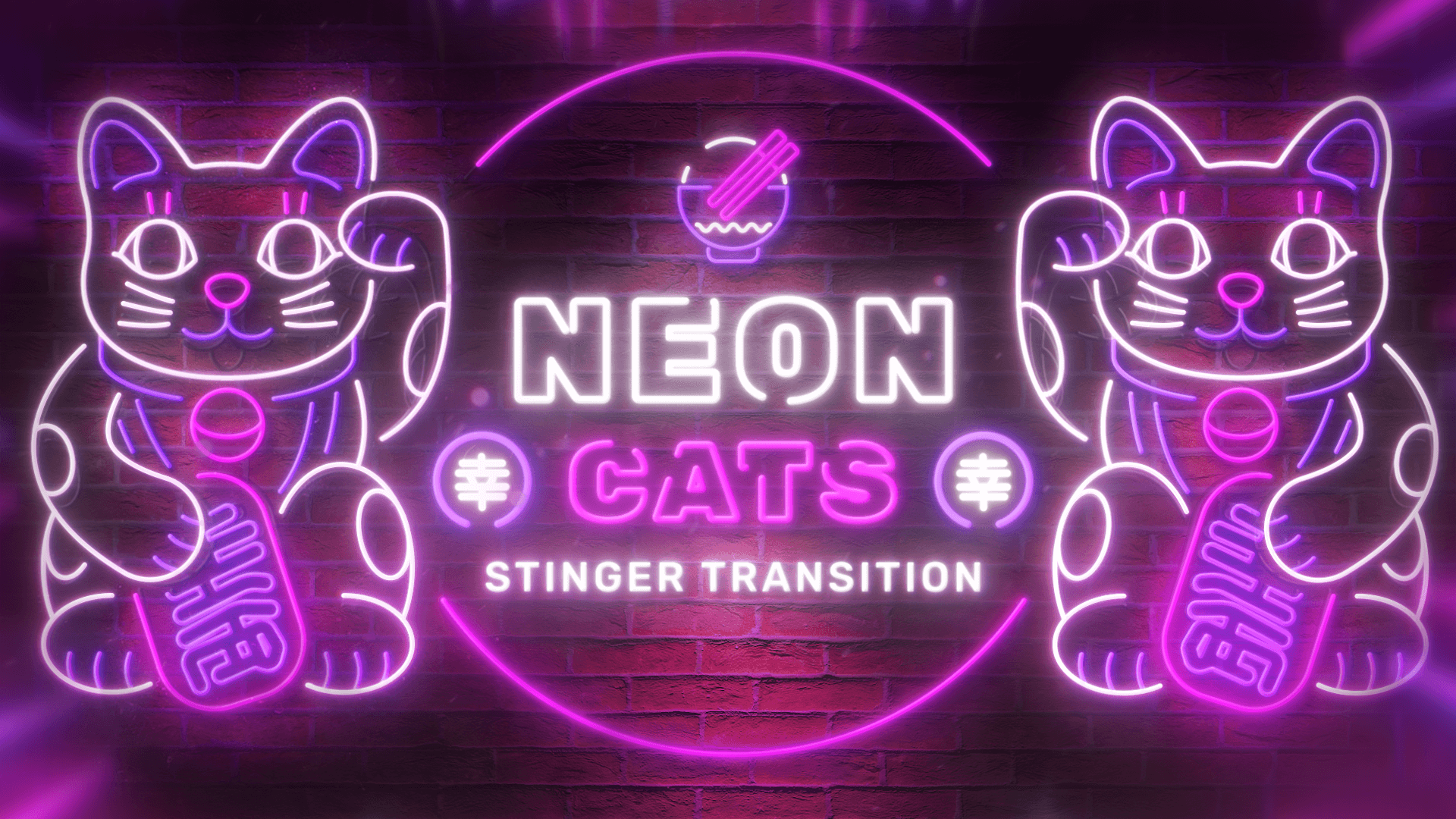 Neon Cats - Stinger Transition for Twitch, Youtube and Facebook