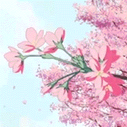 Sakura — Aesthetic PFPs