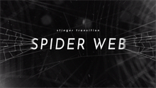 Load image into Gallery viewer, Spider Web - Stinger Transition for Twitch, Youtube and Facebook
