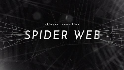 Spider Web - Stinger Transition for Twitch, Youtube and Facebook