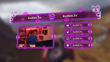 Load and play video in Gallery viewer, Neon Cats — Stream Header, Label and Webcam Overlay Pack for OBS
