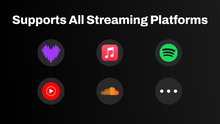 Load and play video in Gallery viewer, Vinyl Record Music Display Widget for Twitch &amp; Youtube | All Music Platforms Supported
