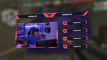Load and play video in Gallery viewer, Valorant Esports - Stream Header, Label, Webcam Overlay Pack for OBS
