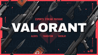 Valorant Esports